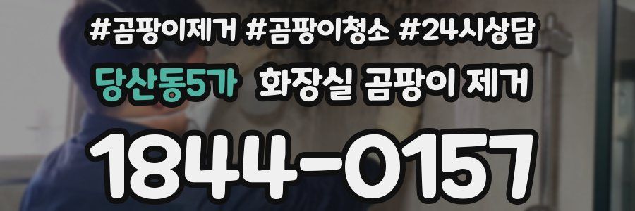 당산동5가 화장실 곰팡이 제거
