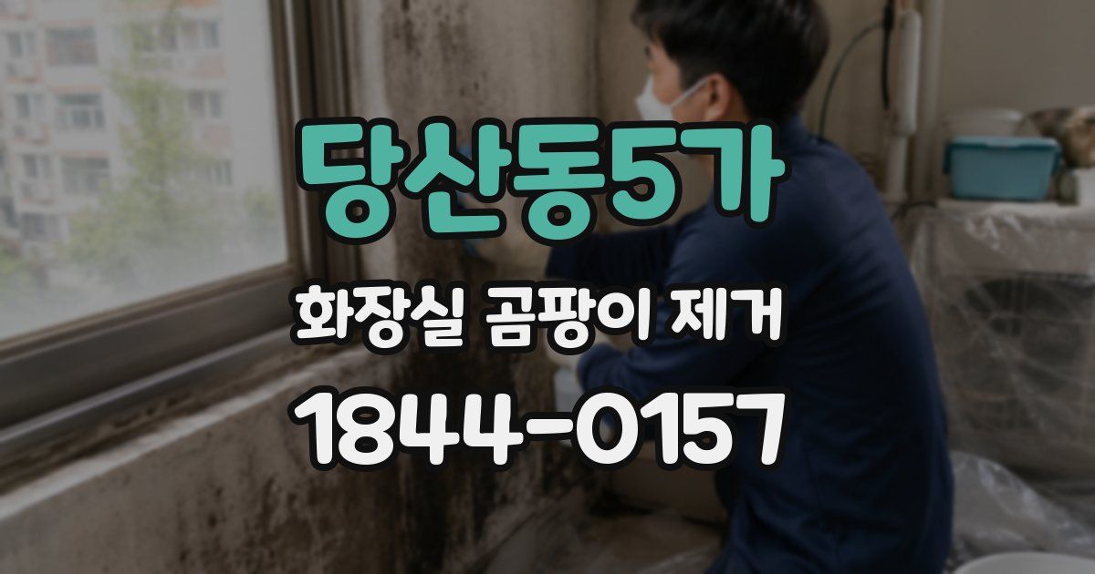 당산동5가 화장실 곰팡이 제거