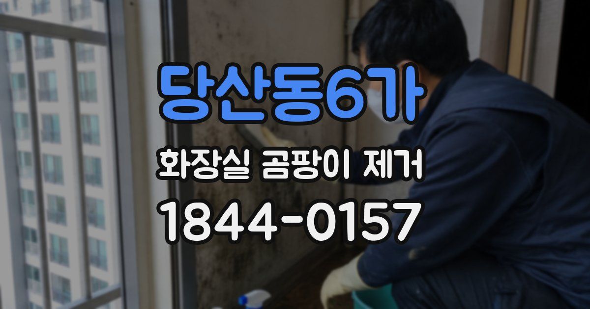 당산동6가 화장실 곰팡이 제거