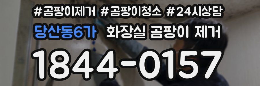 당산동6가 화장실 곰팡이 제거