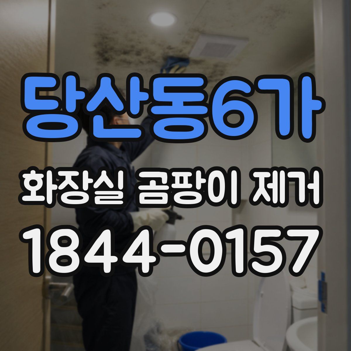 당산동6가 화장실 곰팡이 제거