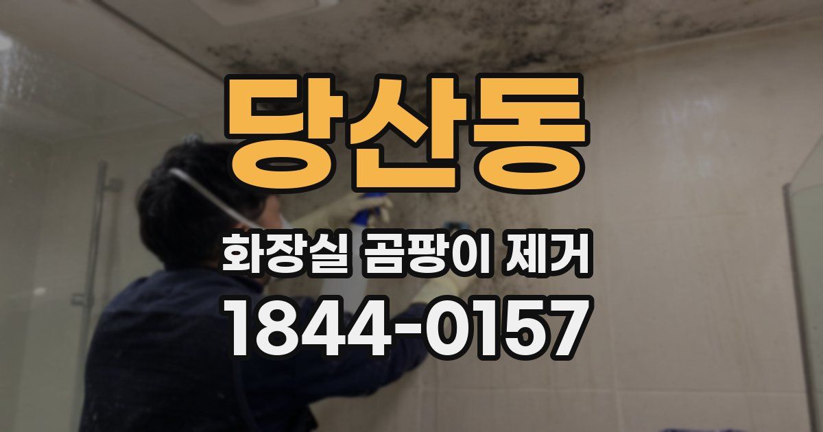 당산동 화장실 곰팡이 제거