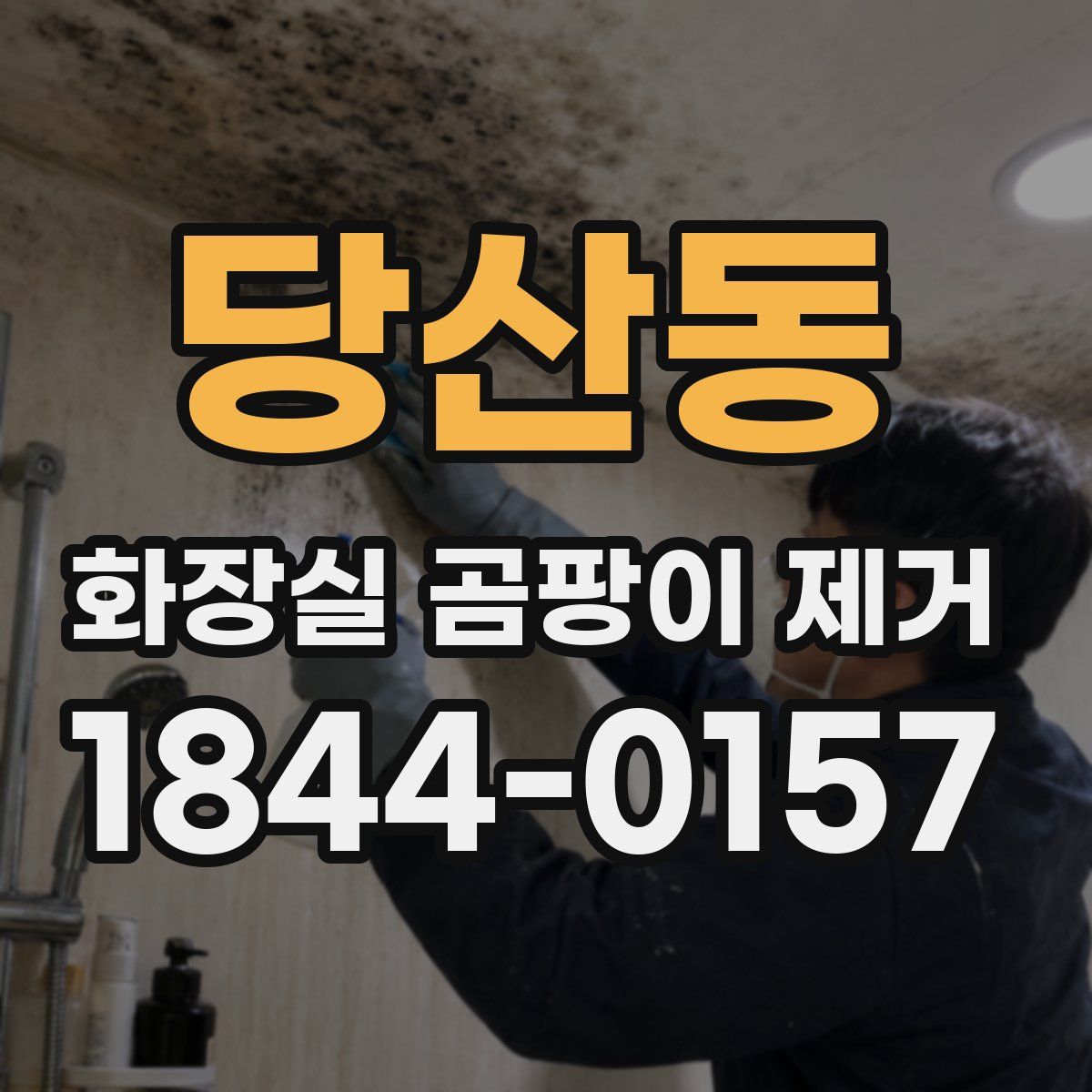 당산동 화장실 곰팡이 제거