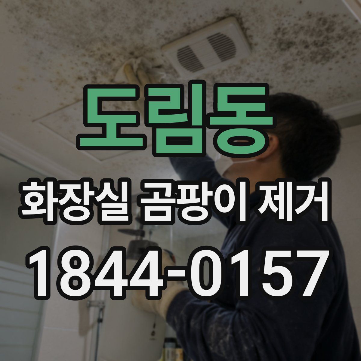 도림동 화장실 곰팡이 제거