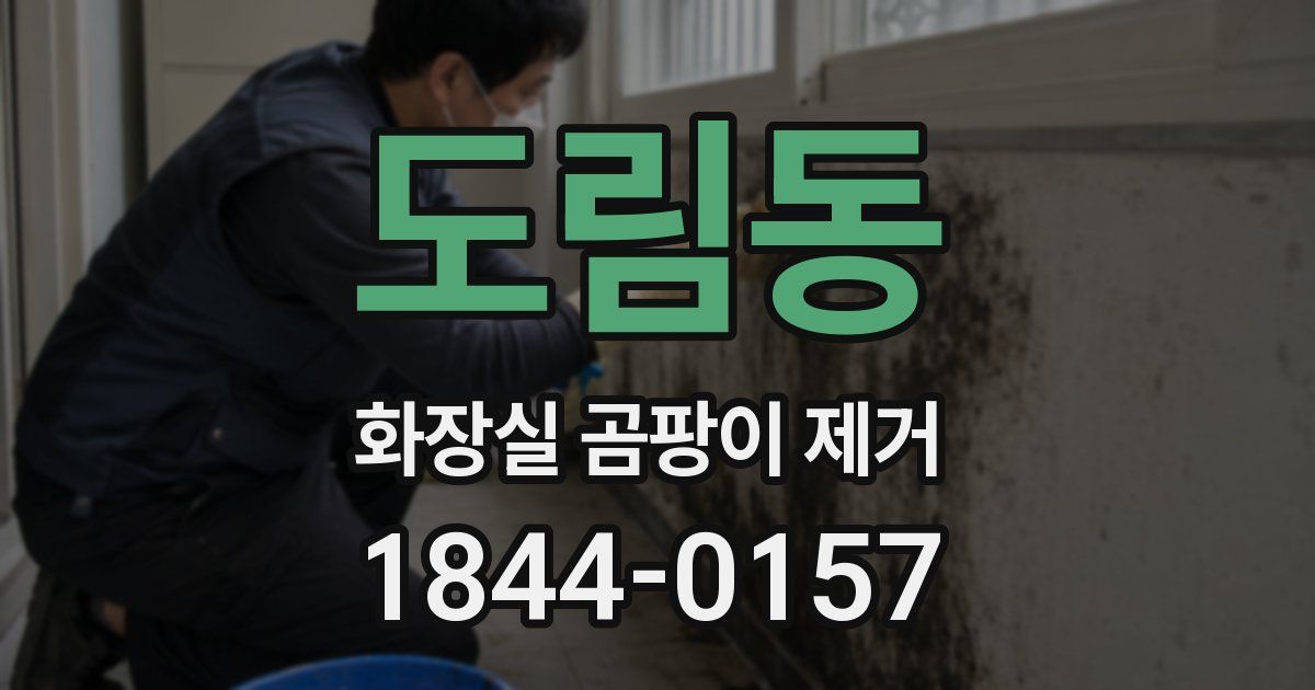 도림동 화장실 곰팡이 제거