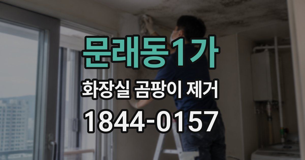 문래동1가 화장실 곰팡이 제거