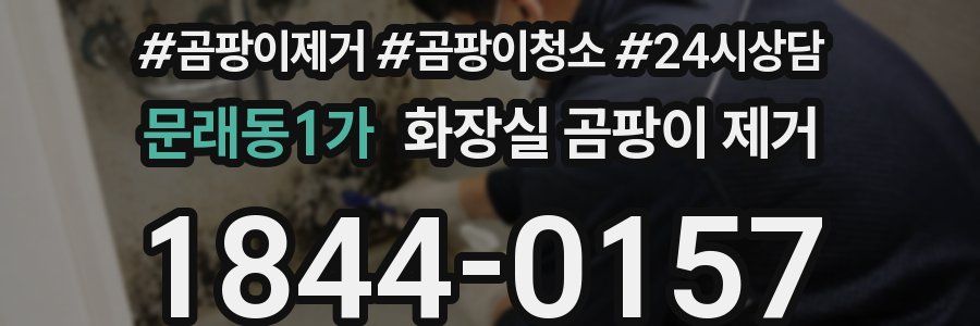 문래동1가 화장실 곰팡이 제거