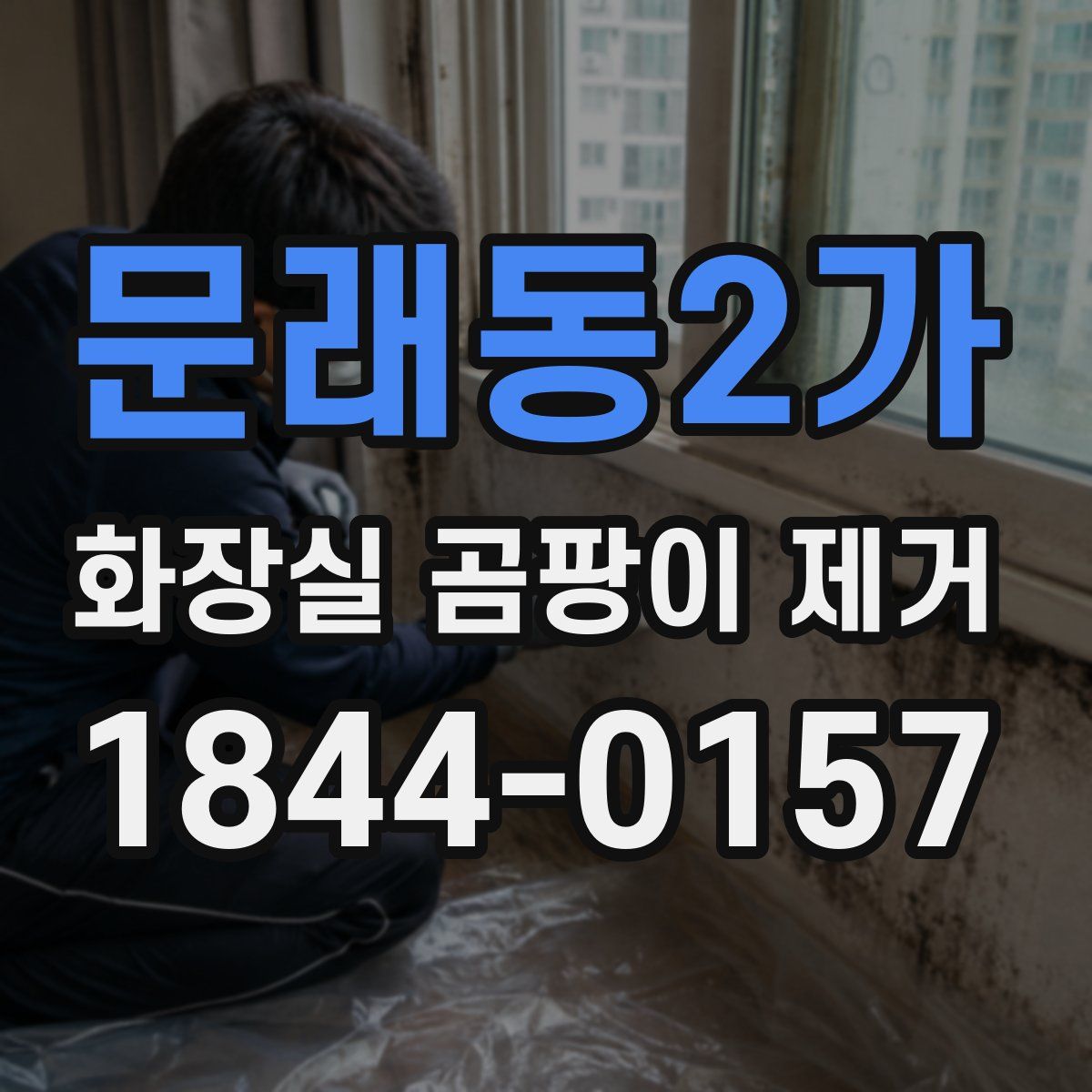 문래동2가 화장실 곰팡이 제거