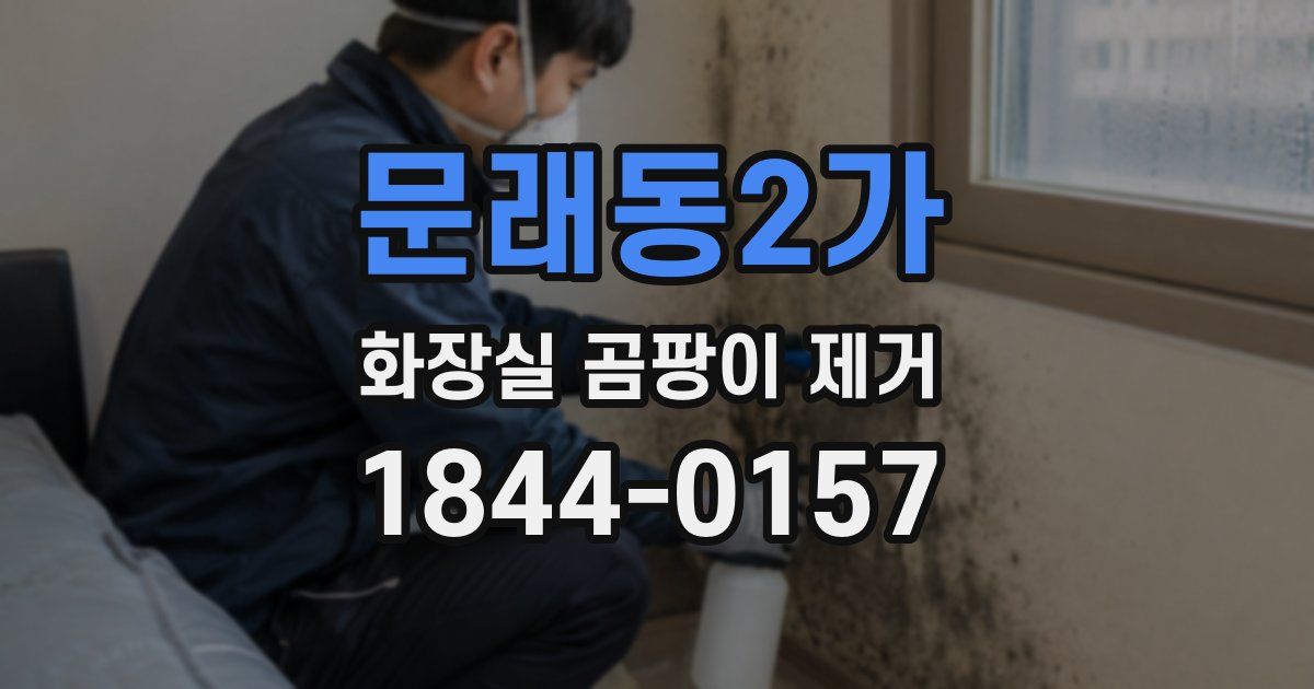 문래동2가 화장실 곰팡이 제거