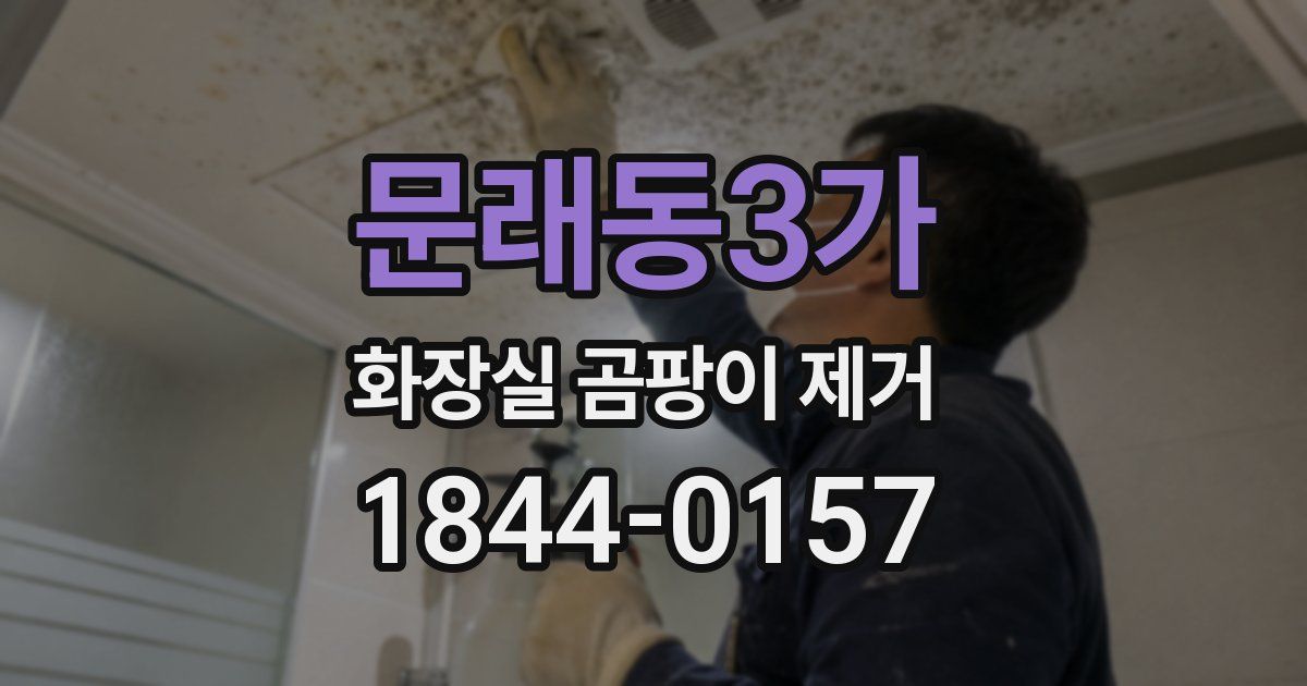 문래동3가 화장실 곰팡이 제거