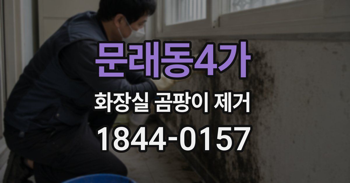문래동4가 화장실 곰팡이 제거