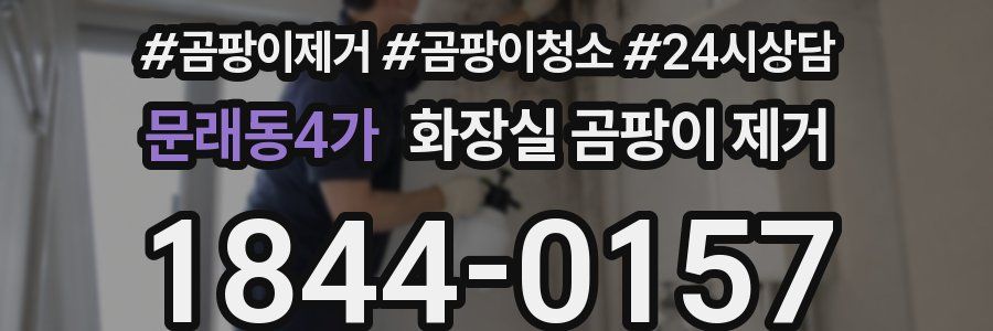 문래동4가 화장실 곰팡이 제거