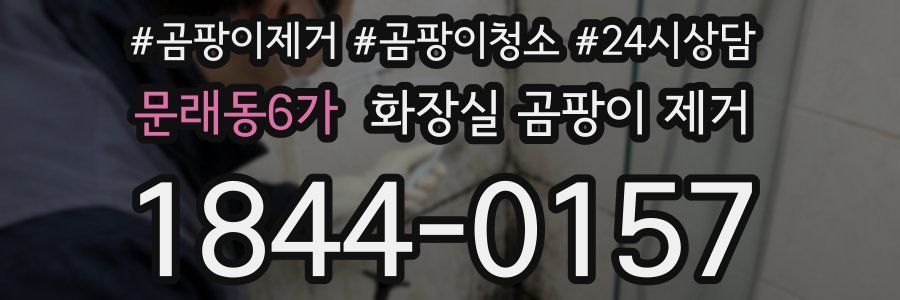 문래동6가 화장실 곰팡이 제거