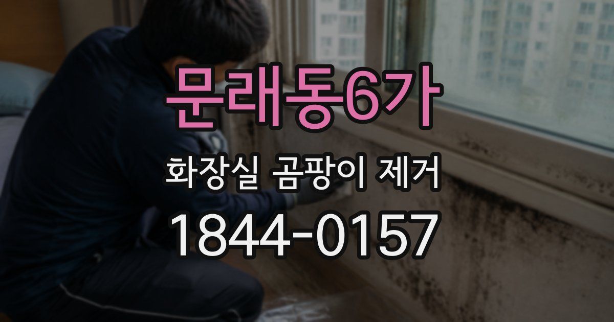 문래동6가 화장실 곰팡이 제거