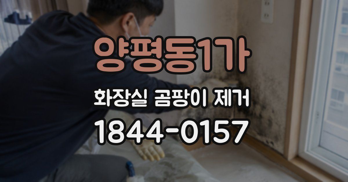 양평동1가 화장실 곰팡이 제거