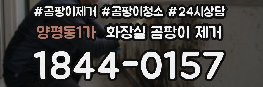 양평동1가 화장실 곰팡이 제거