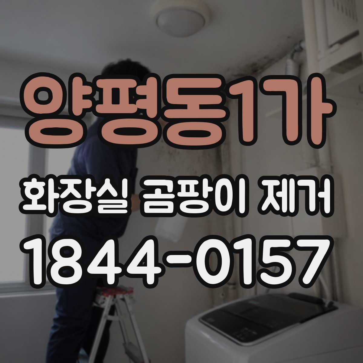 양평동1가 화장실 곰팡이 제거