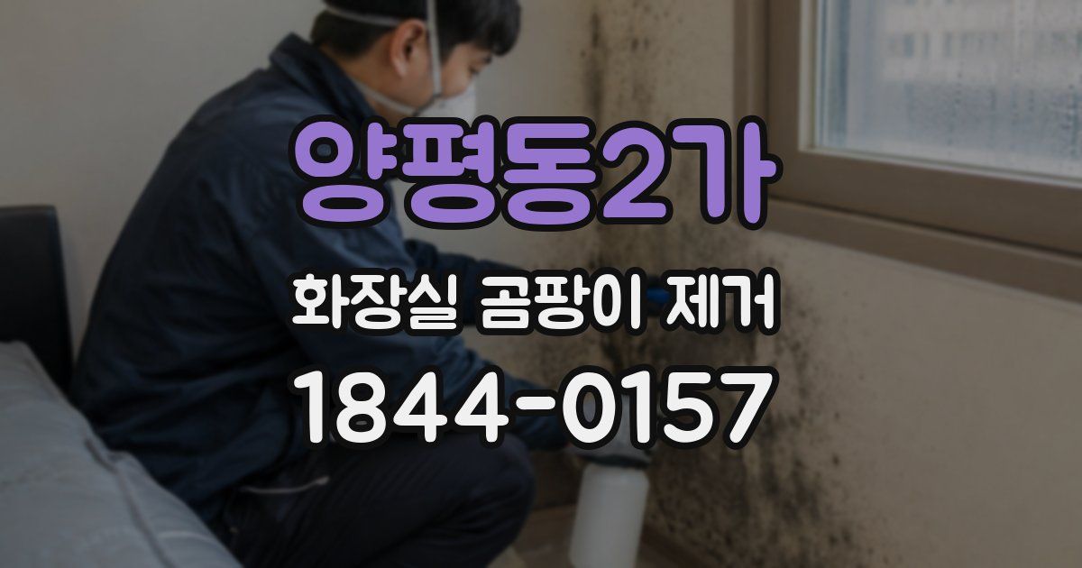 양평동2가 화장실 곰팡이 제거