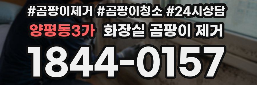 양평동3가 화장실 곰팡이 제거