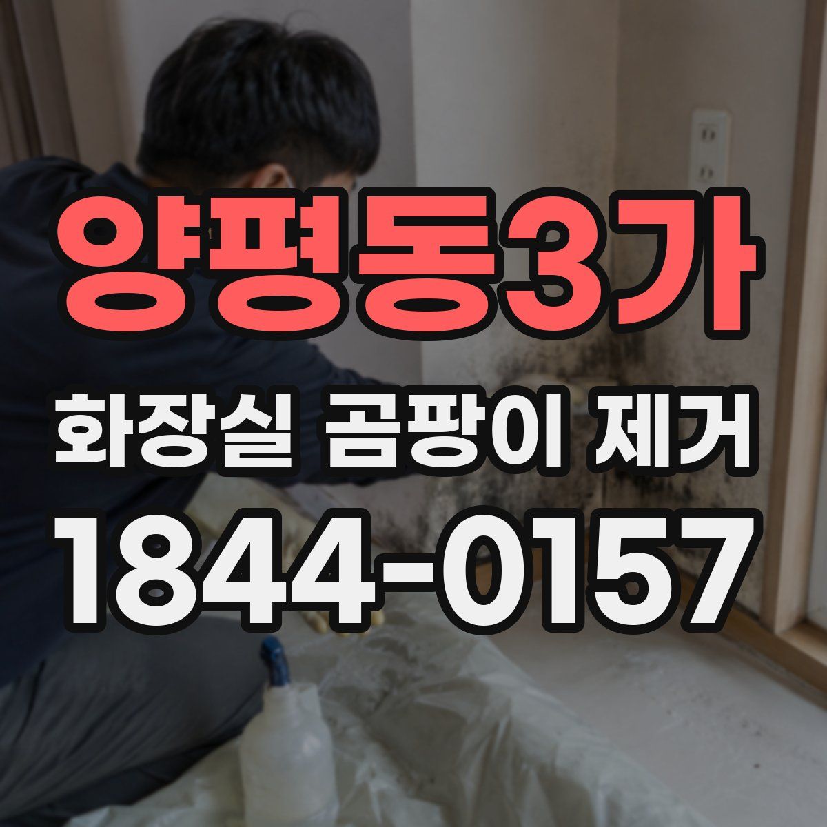 양평동3가 화장실 곰팡이 제거