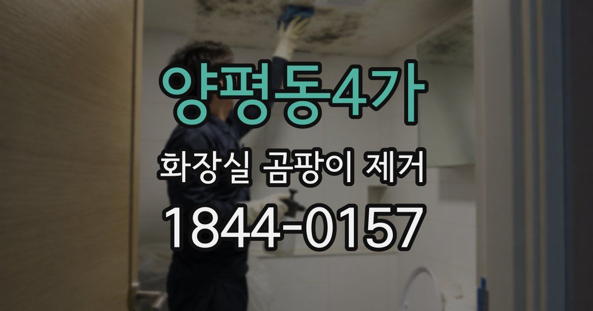 양평동4가 화장실 곰팡이 제거