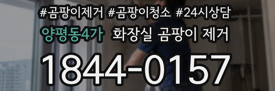 양평동4가 화장실 곰팡이 제거