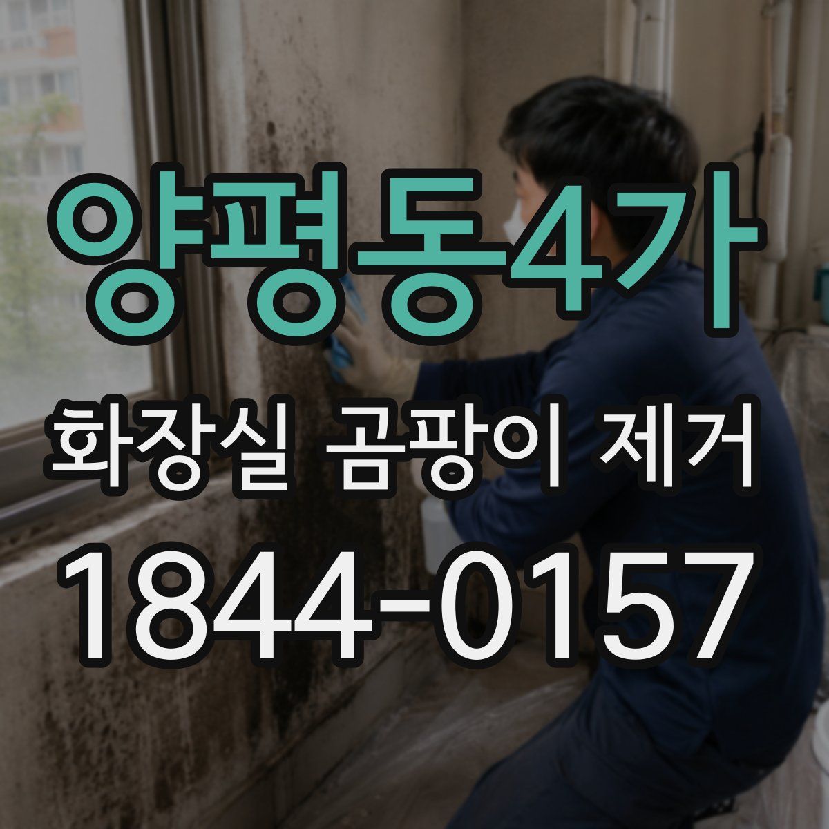 양평동4가 화장실 곰팡이 제거