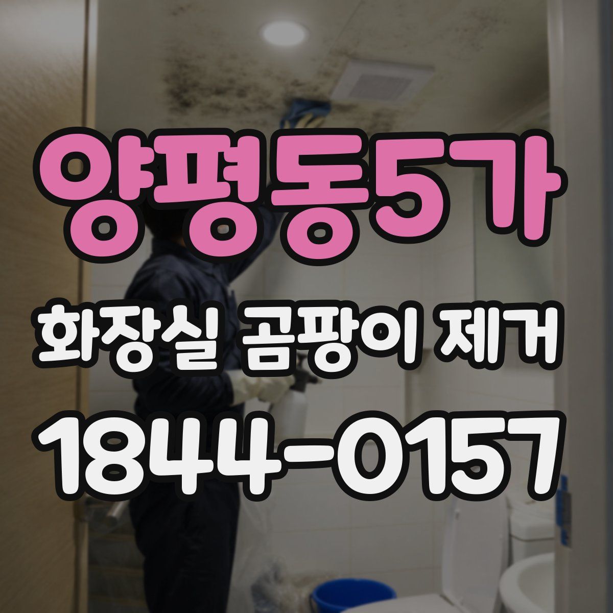 양평동5가 화장실 곰팡이 제거
