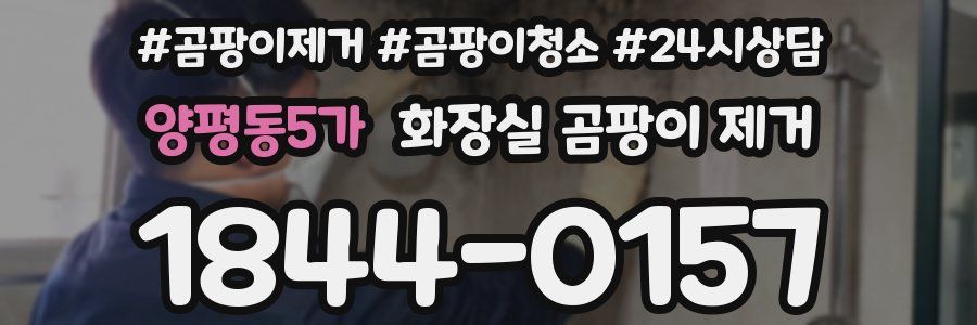 양평동5가 화장실 곰팡이 제거