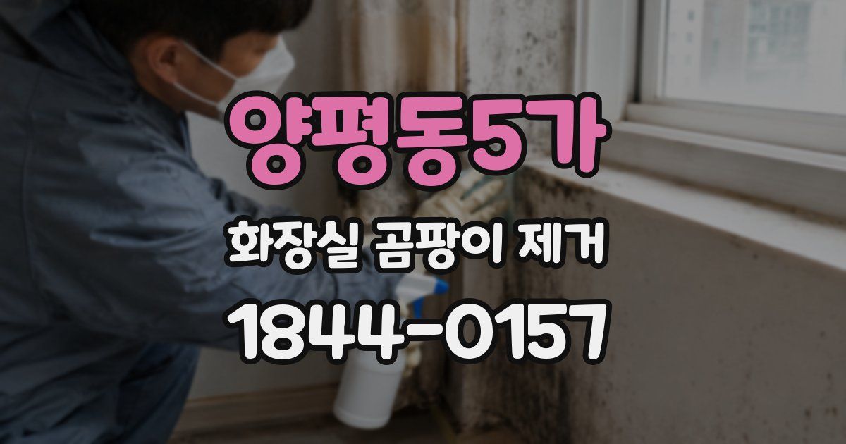 양평동5가 화장실 곰팡이 제거