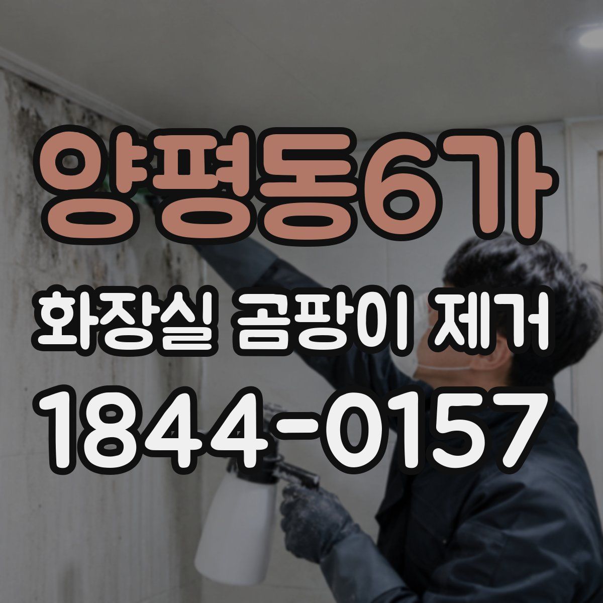 양평동6가 화장실 곰팡이 제거