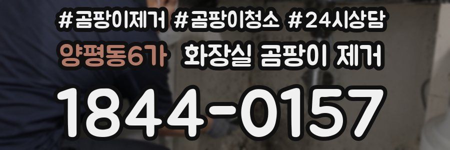 양평동6가 화장실 곰팡이 제거