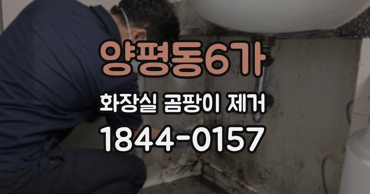 양평동6가 화장실 곰팡이 제거