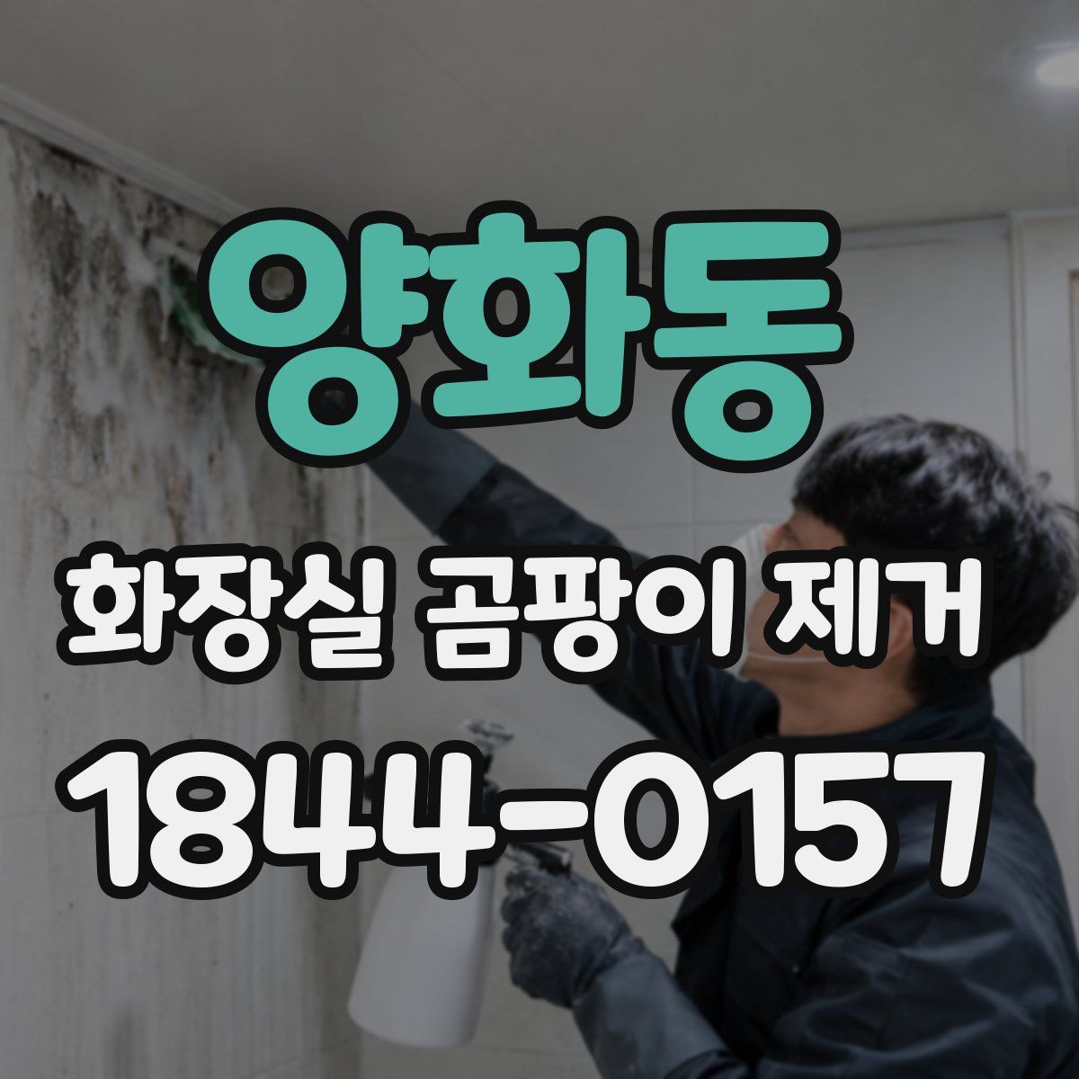 양화동 화장실 곰팡이 제거