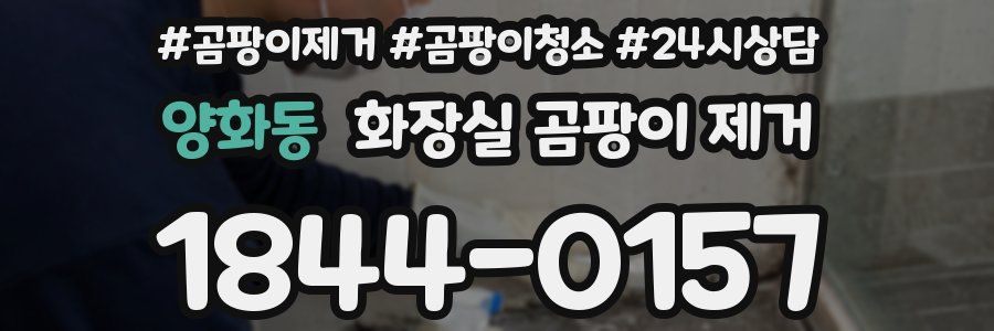 양화동 화장실 곰팡이 제거