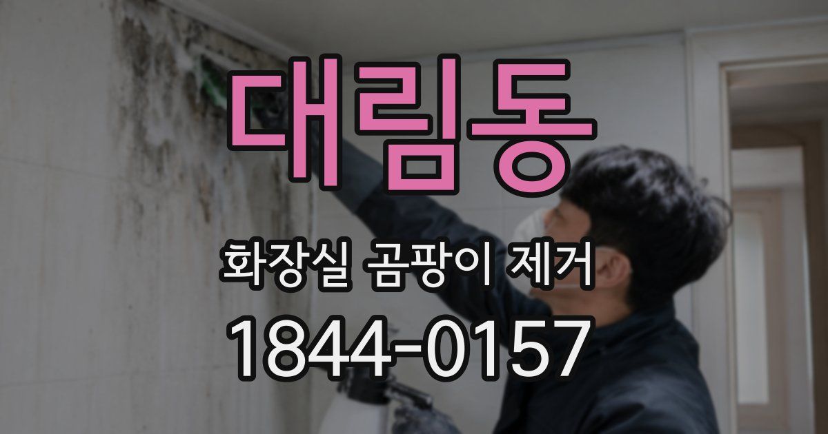 대림동 화장실 곰팡이 제거