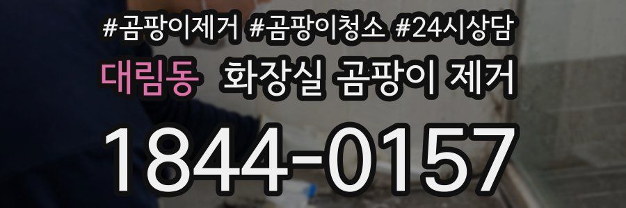대림동 화장실 곰팡이 제거
