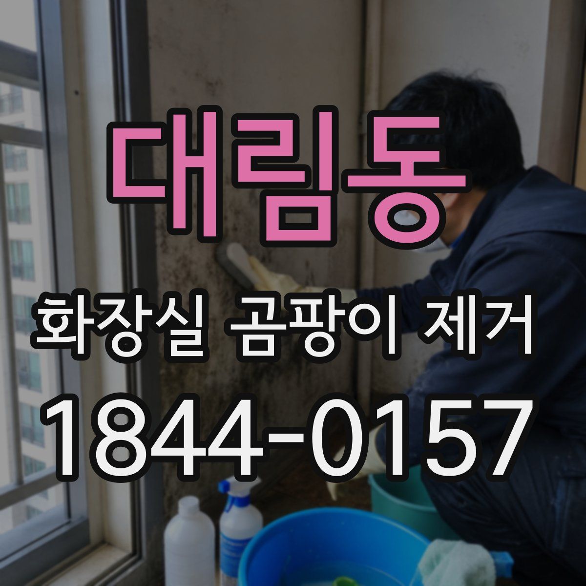 대림동 화장실 곰팡이 제거