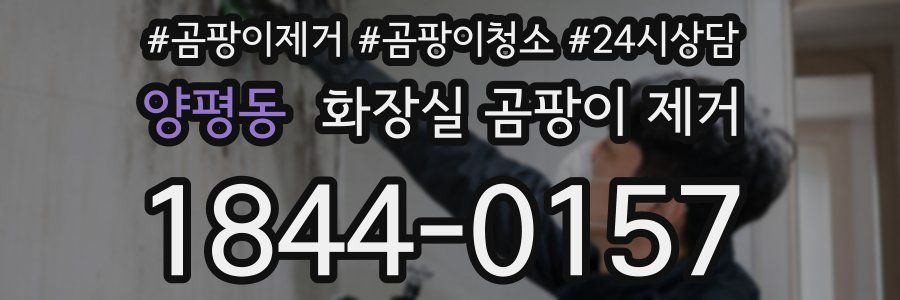 양평동 화장실 곰팡이 제거