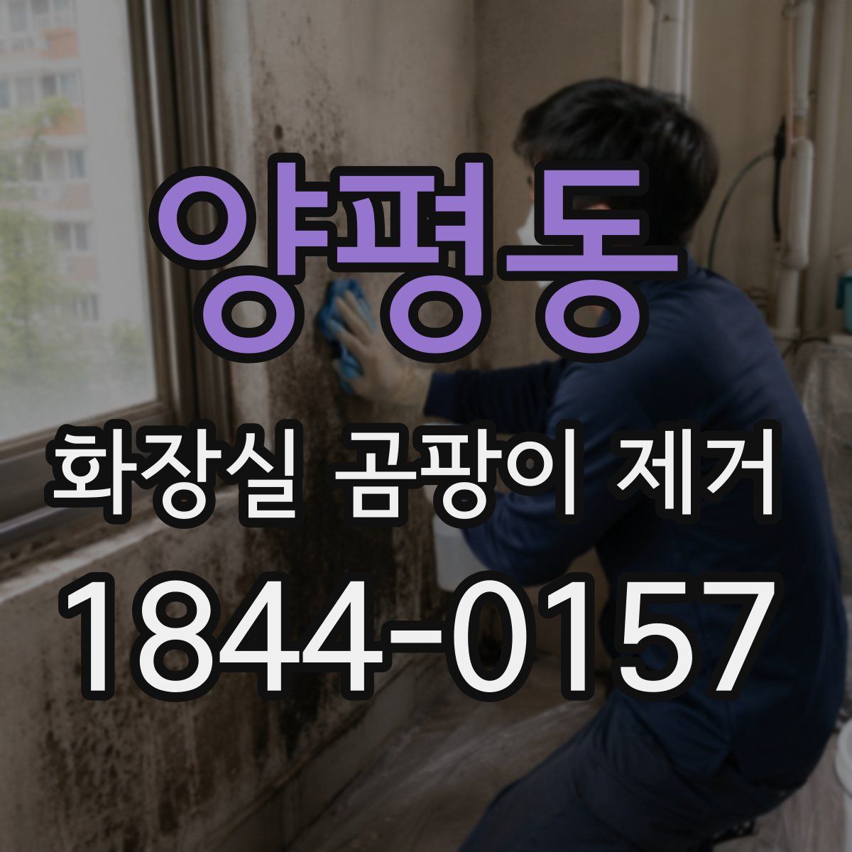 양평동 화장실 곰팡이 제거