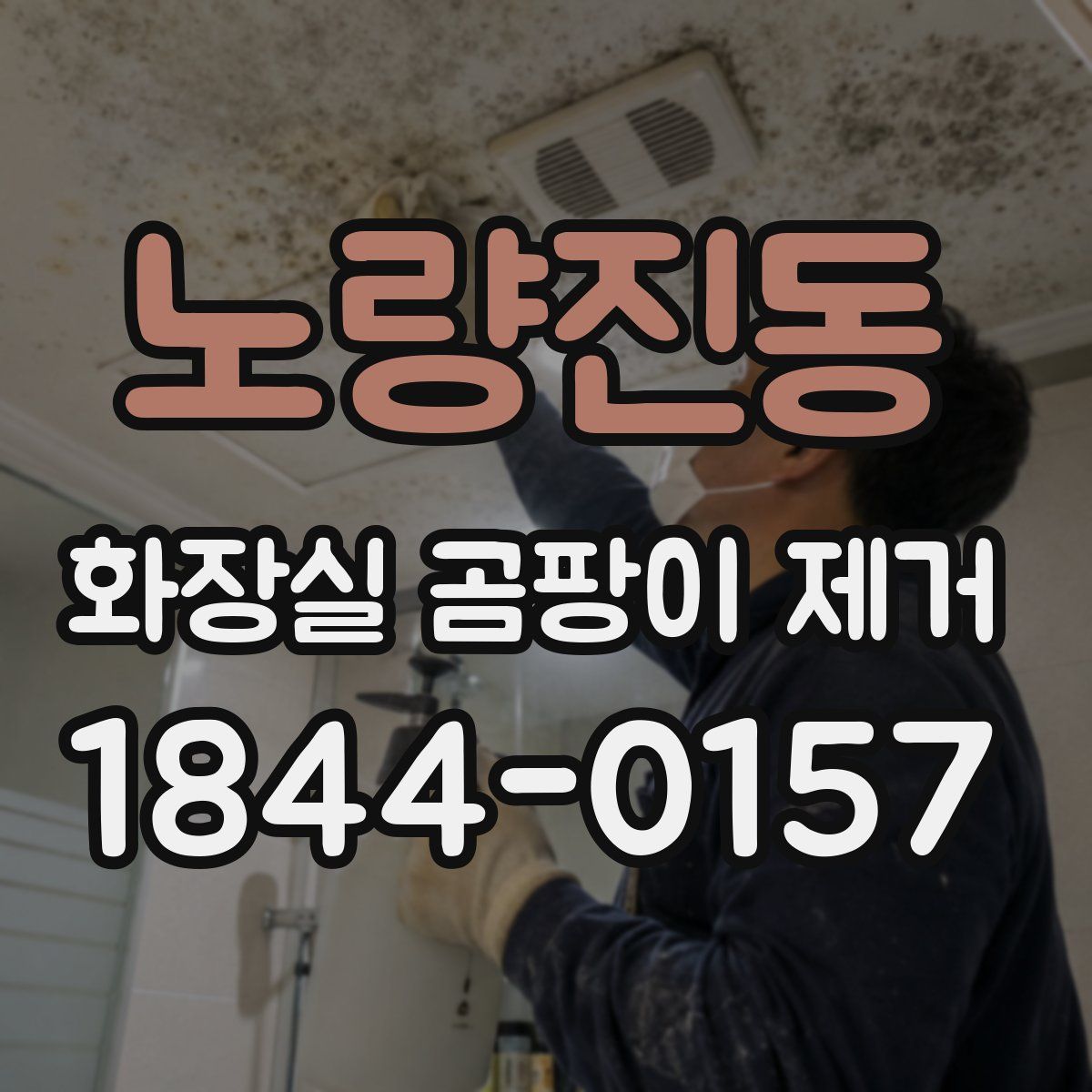 노량진동 화장실 곰팡이 제거
