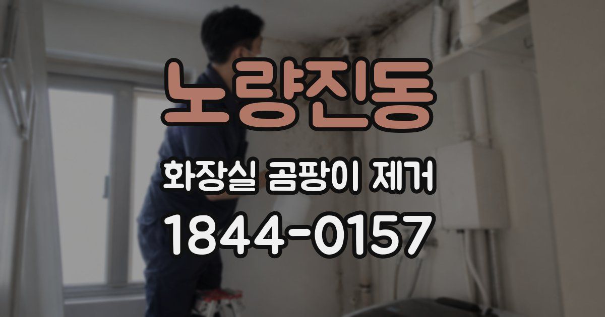 노량진동 화장실 곰팡이 제거