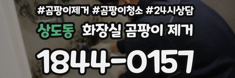 상도동 화장실 곰팡이 제거