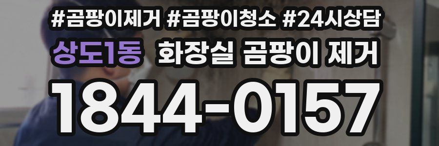 상도1동 화장실 곰팡이 제거