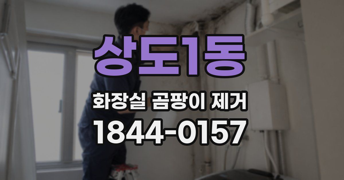 상도1동 화장실 곰팡이 제거