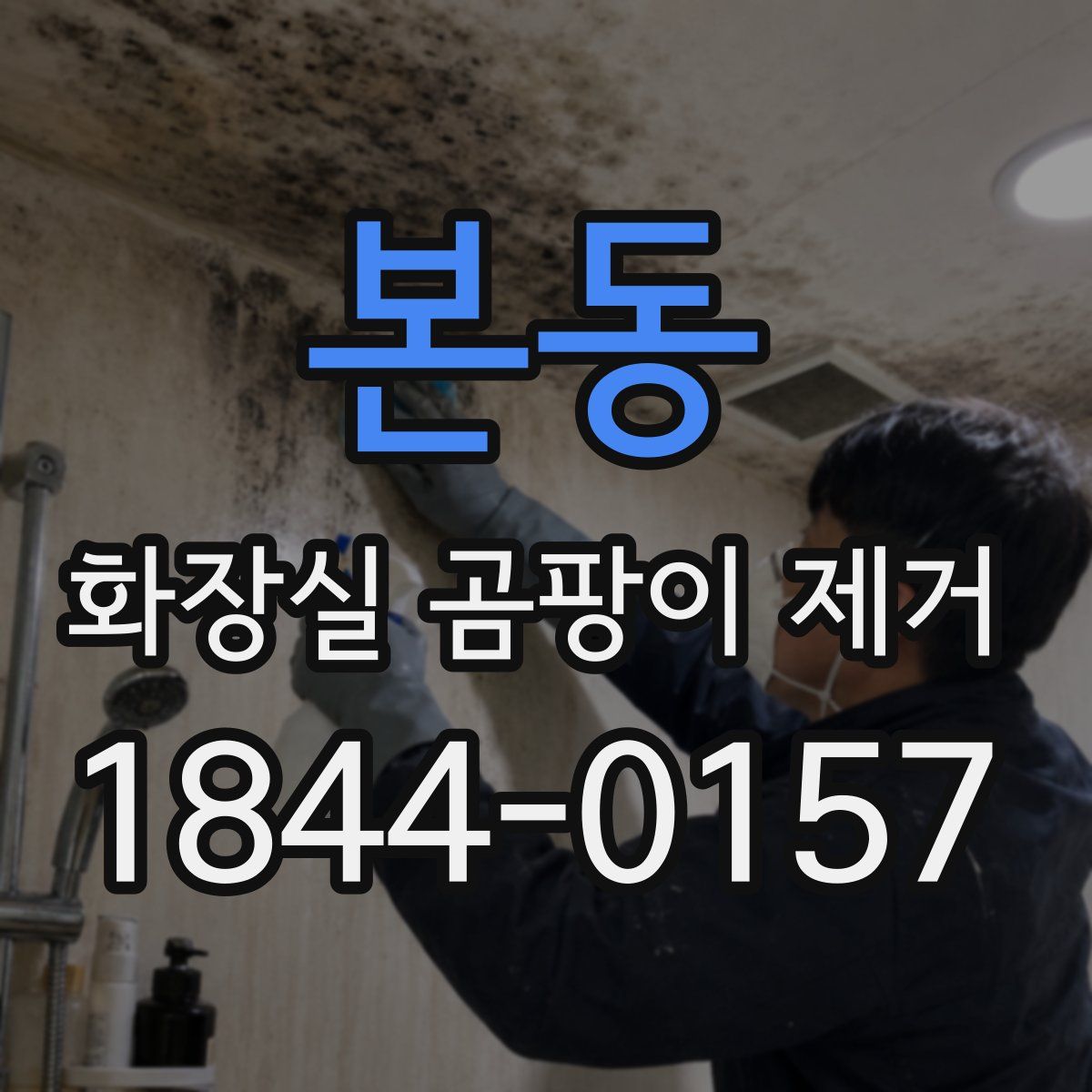 본동 화장실 곰팡이 제거