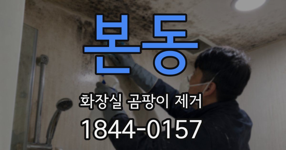 본동 화장실 곰팡이 제거