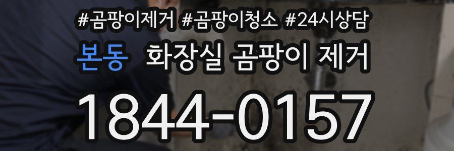 본동 화장실 곰팡이 제거