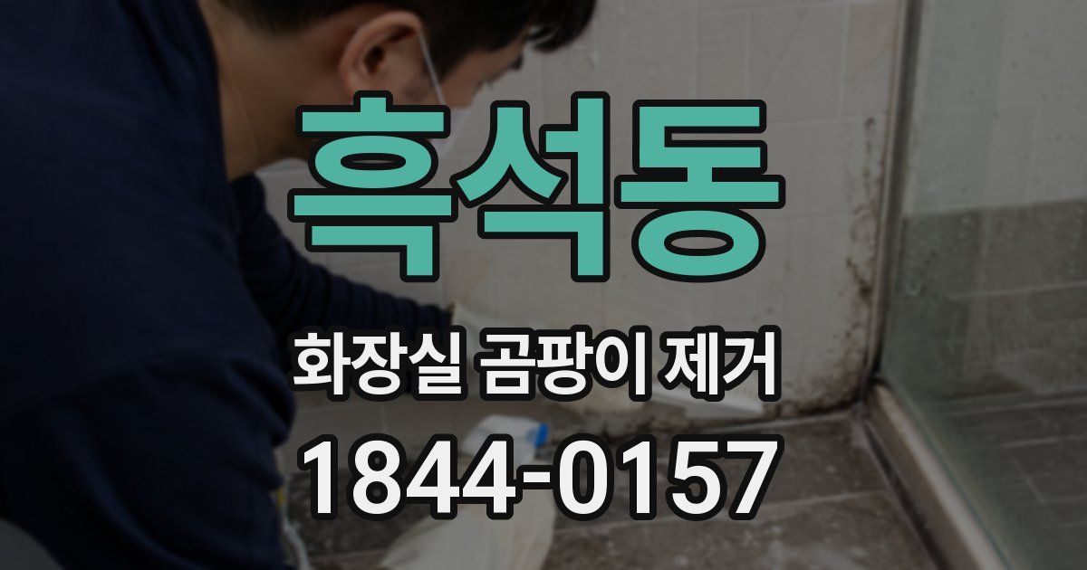 흑석동 화장실 곰팡이 제거