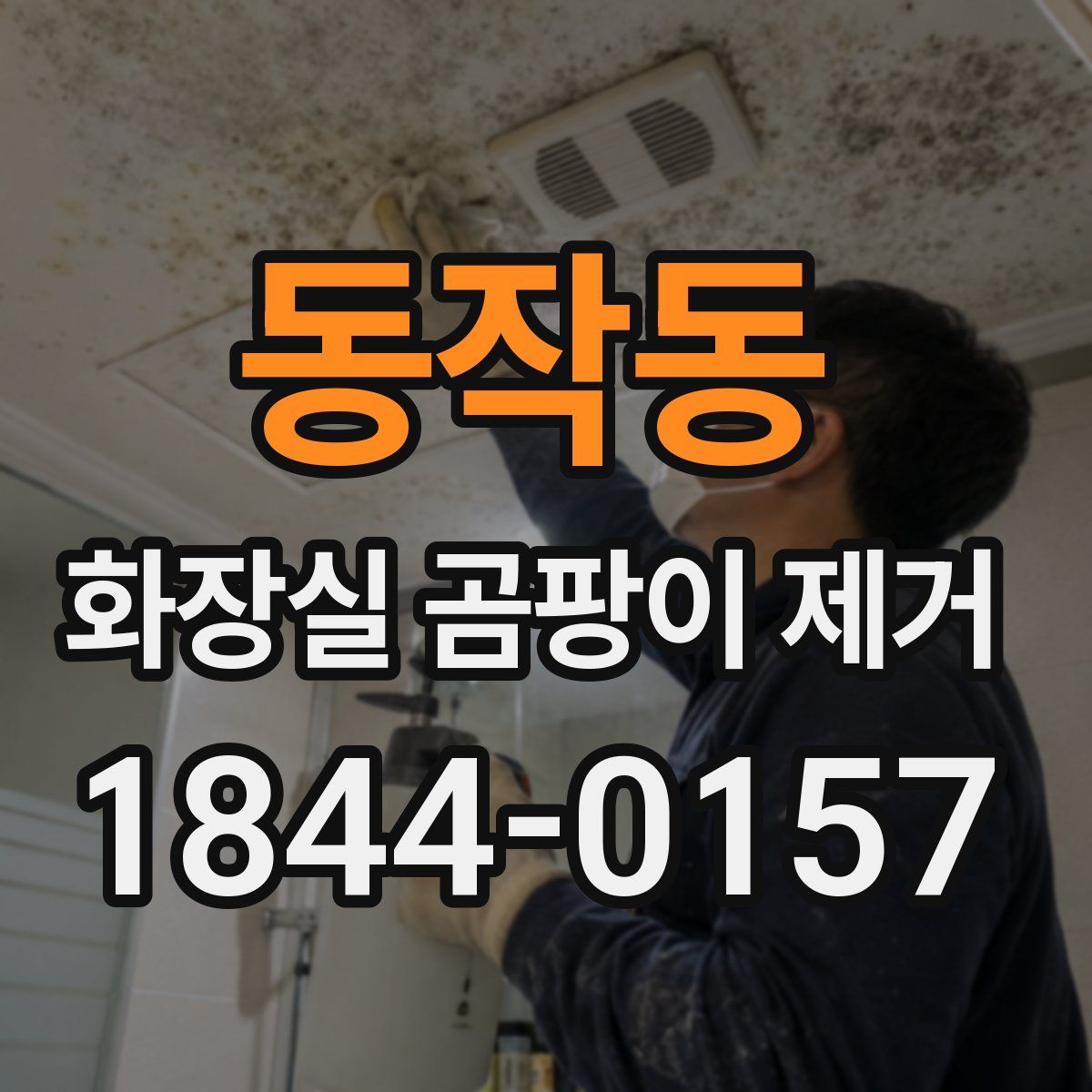 동작동 화장실 곰팡이 제거